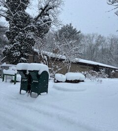 Wednesday Afternoon Book Club 2026